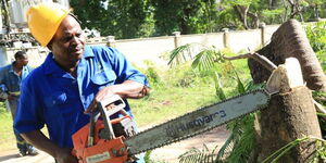A Kenya Power officer cuts down a tree