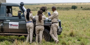 Guides from the Mara Elephant Project during a safari