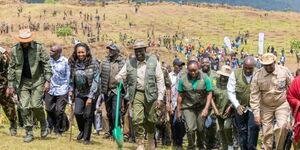 President William Ruto along with other government officials during a tree planting exercise in Mau forest on Monday, October 27.