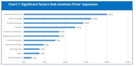 A chart from the Central Bank report showing significant factors that constrain firms' expansion.