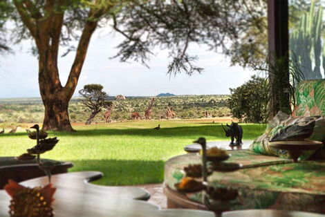 Giraffes in the background at Ol Jogi wildlife conservancy in Nanyuki.
