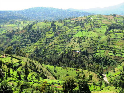 The area where Arror Dam is to be constructed in Elgeyo Marakwet County.