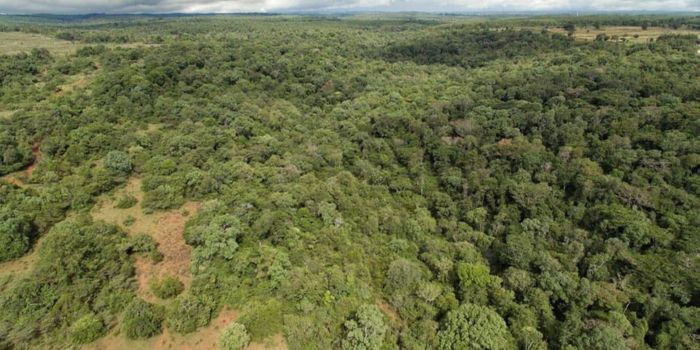 Govt Addresses Fencing of 30,000 Hectares of Forest