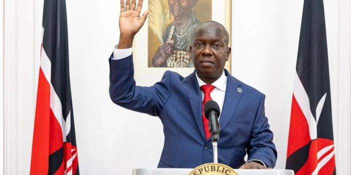 DPP Ingonga Lands International Role