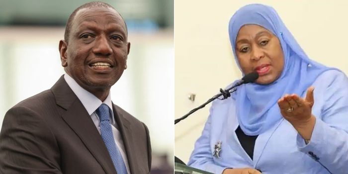 Relief as Suluhu Spares Kenya from Ban on Small Businesses