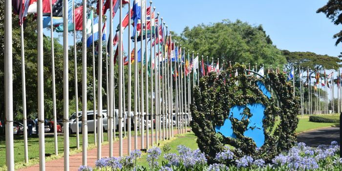 Tanzanians Camp at UN Offices Amid Kenya's Reluctance to Register Them as Refugees