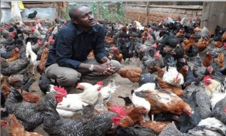 Former K24 TV journalist on his chicken farm.