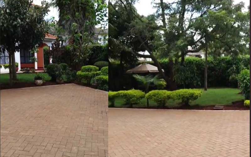A collage of images showing Jalango's yard with well-manicured lawn and clean driveway.