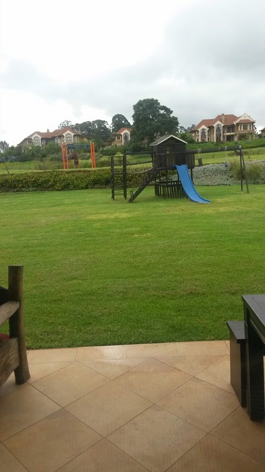 A photo showing a children's play park.