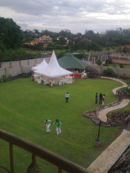 A photo of the garden at the back of the house.