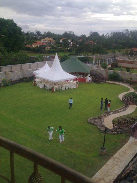 A photo of the garden at the back of the house.