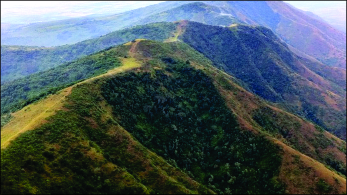 List of Fascinating and Fun Things to do in Nairobi Kenyans.co.ke