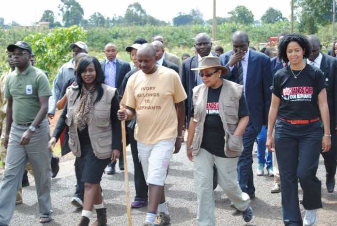 First lady Margaret Kenyatta, second right, in a walk after the flag off.First right is Dr Paula Kahumbu CEO Wildlife Direct,Executive Director Elephant Neigbours centre Mr Jim Nyamu,second left and Professor Judi Wakhungu,The Cabinet Secretary, Ministry of Environment, Water and Natural Resources of the Republic of Kenya on November 18, 2016.
