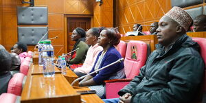 Victims appearing before the Senate Labour and Social Welfare Committee on Thursday, August 17. 