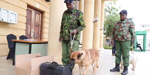 Security officers using a dog to sniff items at the Supreme Court on August 31, 2022