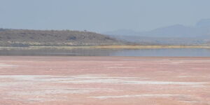 Lake Magadi.