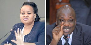 A Collage of IEBC Vice Chairperson Juliana Cherera and Laywer Apollo Mboya