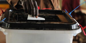 A citizen casting their vote.