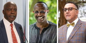 A collage of Kivuthe Kibwana, David Ndii and former Tourism CS Najib Balala.jpg