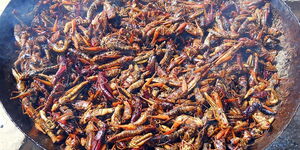 A cooking pan filled with locusts.