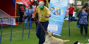 An undated file image of a dog handler pictured at a dog show in Kenya.