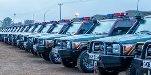 A group of police landcruiser police cars in a yard