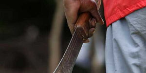 A man holding a machete