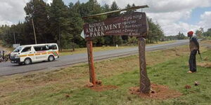  Amazement Park