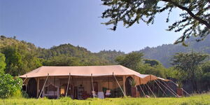 A tent at Cottar's 1920s Safari Camp in Masai Mara