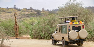 A tour van carrying President William Ruto's mother Mama Sarah at the Nairobi National Park on Saturday March 11, 2023
