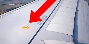 A file image of the yellow hooks on the plane's wings 
