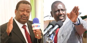 A photo collage of Amani National Congress (ANC) leader Musalia Mudavadi and Deputy President William Ruto.