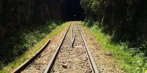 The entrance to Buxton Tunnel in Limuru, Kiambu County