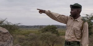 Popote Ole Sapulai of Kimana Sanctuary won a global award for protecting nature. 