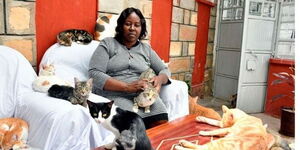 Rachel Kabue the Cat Woman of Mihang'o