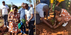 A photo collage of Charlene Ruto alongside her friends planting trees on a farm in Murang'a County on February 18, 2023.