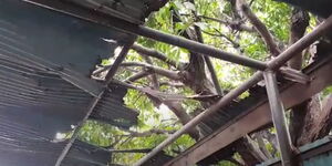 The roof at a Nairobi court where Governor Mike Sonko appeared on September 7, 2020