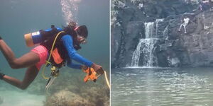 Diver
