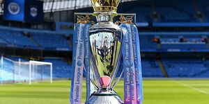 An image of the English Premier League Cup