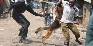 File image of a Kenya Police dog.