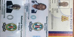 An image of fake IDs