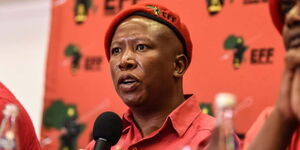 File image of South African politician Julius Malema