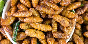 A bowl of fried crickets