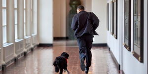 Former US President Barrack Obama bonding with his family dog Bo.