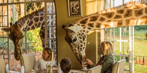 File image of guests enjoying breakfast with giraffes at Giraffe Manor in Nairobi