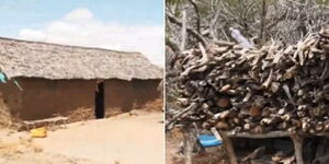 Photo collage of a house in Malindi used by cult members and firewood