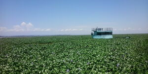 A water hyacinth harvester in Lake Victoria. 
