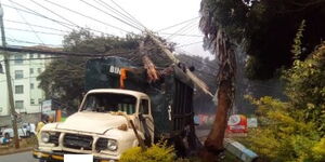 The lorry driver who knocked down the electricity poles in Nairobi's Kileleshwa estate.