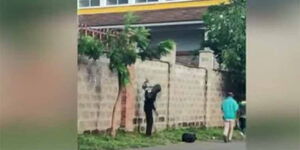 An image of quarantine escape