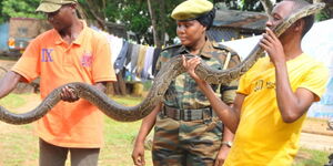 Snake handlers from the Kenya Wildlife Service (KWS) display one of the two pythons at the Diani Police Station which were recovered from a residential house in Msambweni, May 17, 2015. 